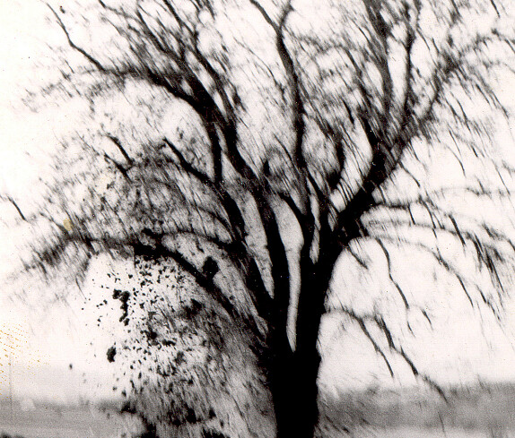 Rodung des Flugfeldes unter Mithilfe zahlreicher Oberschützer Helfer