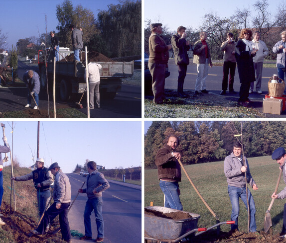 Bäume pflanzen vom Verschönerungsverein Oberschützen